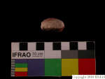 L_V23d3954 J4q200.3 U912 dM f89